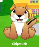 Chipmunk 2017 adoption.jpg (91 KB)