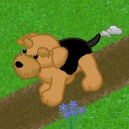 Airedale Terrier v240.gif (526 KB)