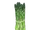 Asparagus