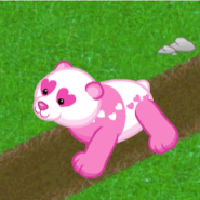 Lovely Panda Gif