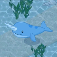 Narwhal (2018) Gif