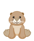 Prairiedogavatar