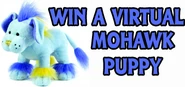 Win a Mohawk Puppy