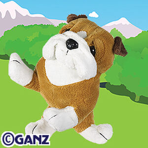 bulldog webkinz