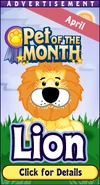 Pet of the Month Ad
