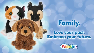 540761926 1191594189680470 4687177647917322003 n