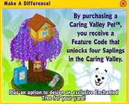 Caring Valley Ad with Details