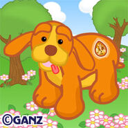 Preview topaz terrier-1-
