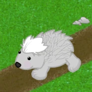 Porcupine Gif