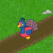 Sequin Peacock 240.gif (439 KB) Sequin Peacock Gif