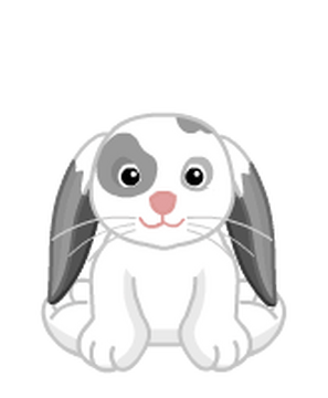 Webkinz floppy eared bunny store