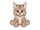 Bobcatkittenavatar.png