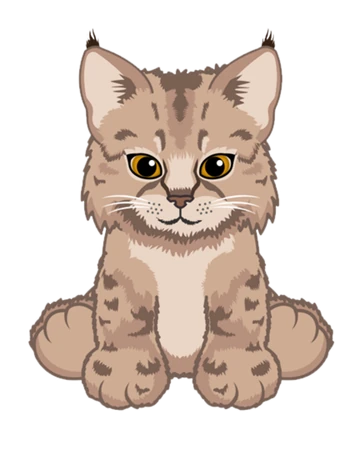 Bobcat Kitten Webkinz Wiki Fandom