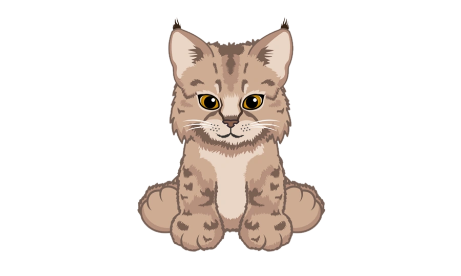 Bobcat Kitten Webkinz Wiki Fandom