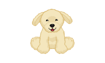 Webkinz signature yellow lab on sale