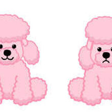 webkinz poodle