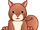 Cinnamon Squirrel