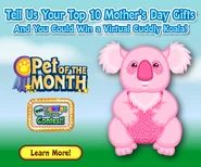 POTM Ad