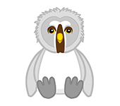 owl webkinz