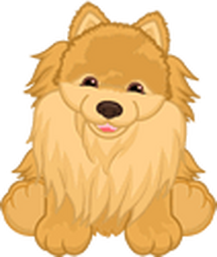 Webkinz pomeranian new arrivals