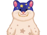 Midnight Hamster
