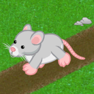 Charming Rat Gif