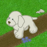 Weimaraner v240.gif (274 KB)