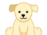 Mutt