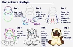 How To Draw A ... | Webkinz Wiki | Fandom