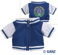 Varsity Jacket