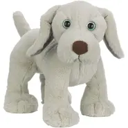 Webkinz Weimaraner grande.webp (40 KB)
