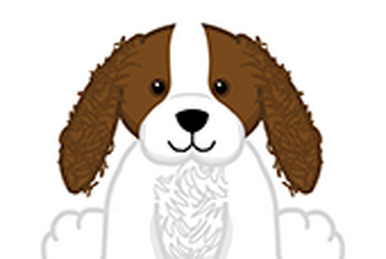 Webkinz tuxedo chihuahua on sale