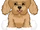 Cockapoo