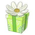 Flower Frog Gift Box