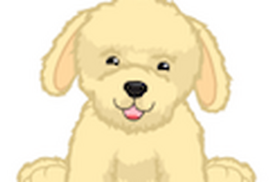Webkinz on sale signature labradoodle