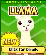 Llama