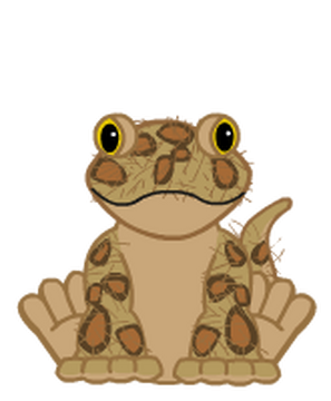Leopard Lizard | Webkinz Wiki | Fandom