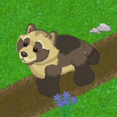 Tanuki | Webkinz Wiki | Fandom