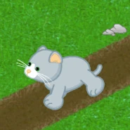 Silversoft Cat Gif