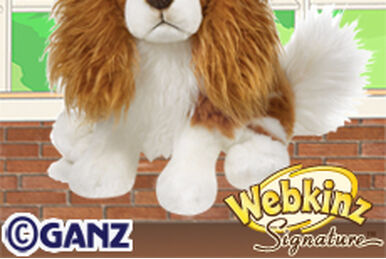 Webkinz tuxedo chihuahua clearance