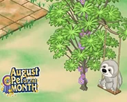 Aug2022 potm IG-carousel.jpg (43 KB)