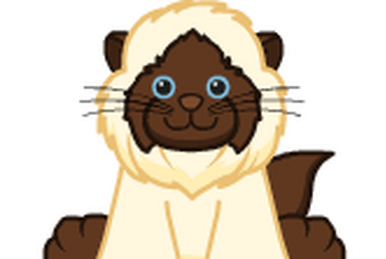 Webkinz sweet discount spice cat
