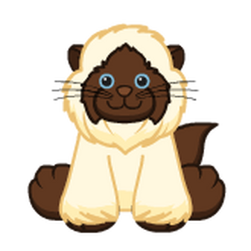 Webkinz himalayan on sale cat