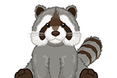Webkinz signature raccoon sales