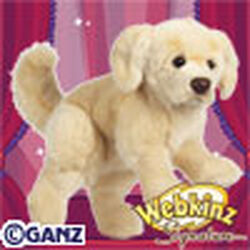 Signature Golden Retriever Webkinz Wiki Fandom