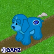 Sapphire Spaniel Gif