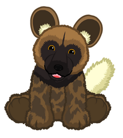 Webkinz signature african wild dog hotsell