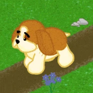 St. Bernard Gif