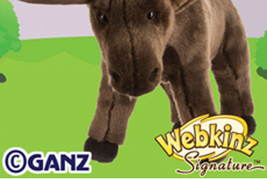 Webkinz wombat on sale