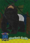 Webkinz Profilez card